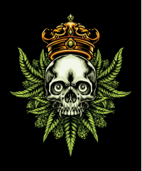 Streetwear Rusti – Pack de vectores urbanos